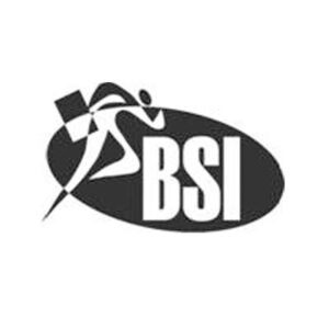 BSI Logo - High Power Data Solutions Success Stories